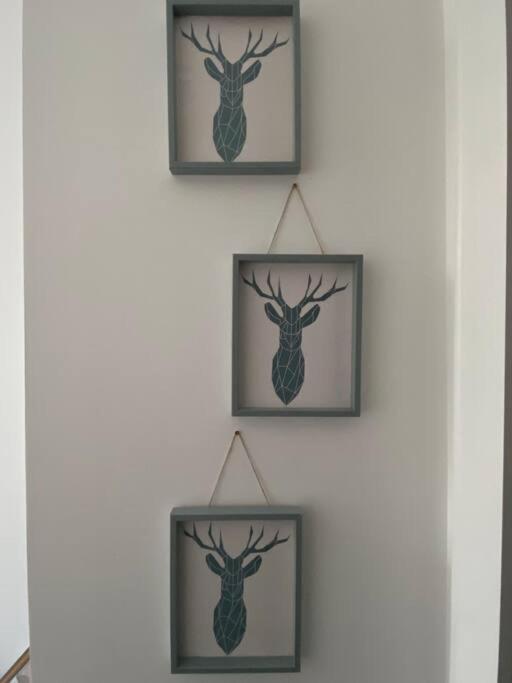 Newly Refurbished Town Centre Apartment Oban Exteriör bild